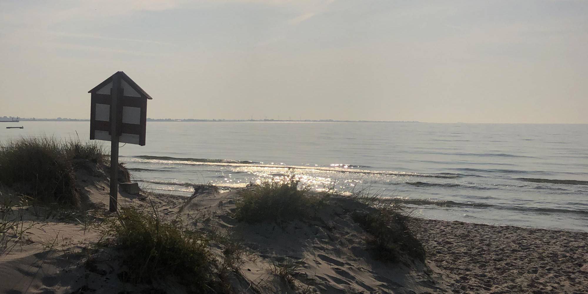 Cropped Ljvf Bakgrund Webb Strand