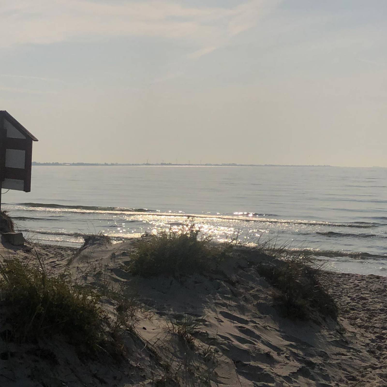 Cropped Ljvf Bakgrund Webb Strand