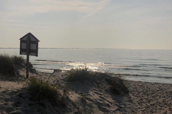 Cropped Ljvf Bakgrund Webb Strand