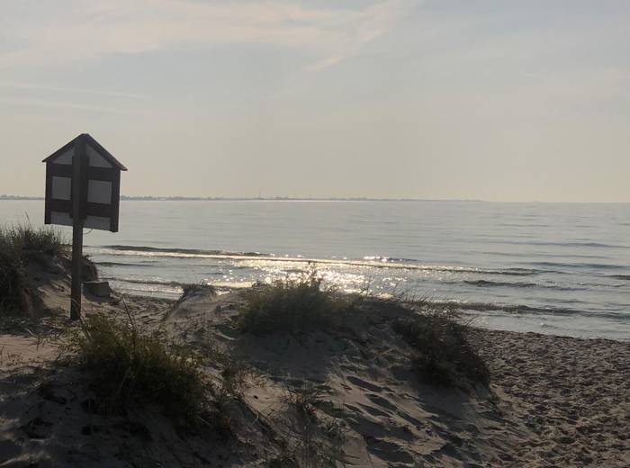 Cropped Ljvf Bakgrund Webb Strand
