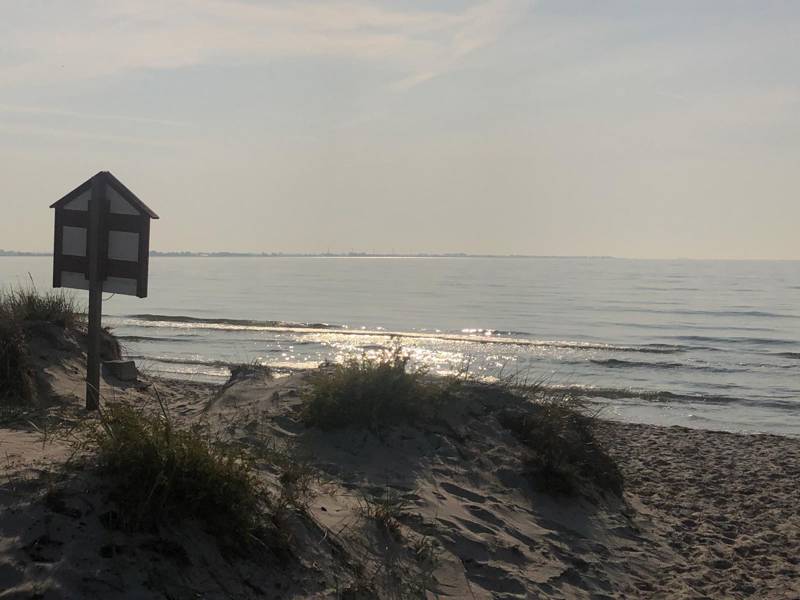 Cropped Ljvf Bakgrund Webb Strand