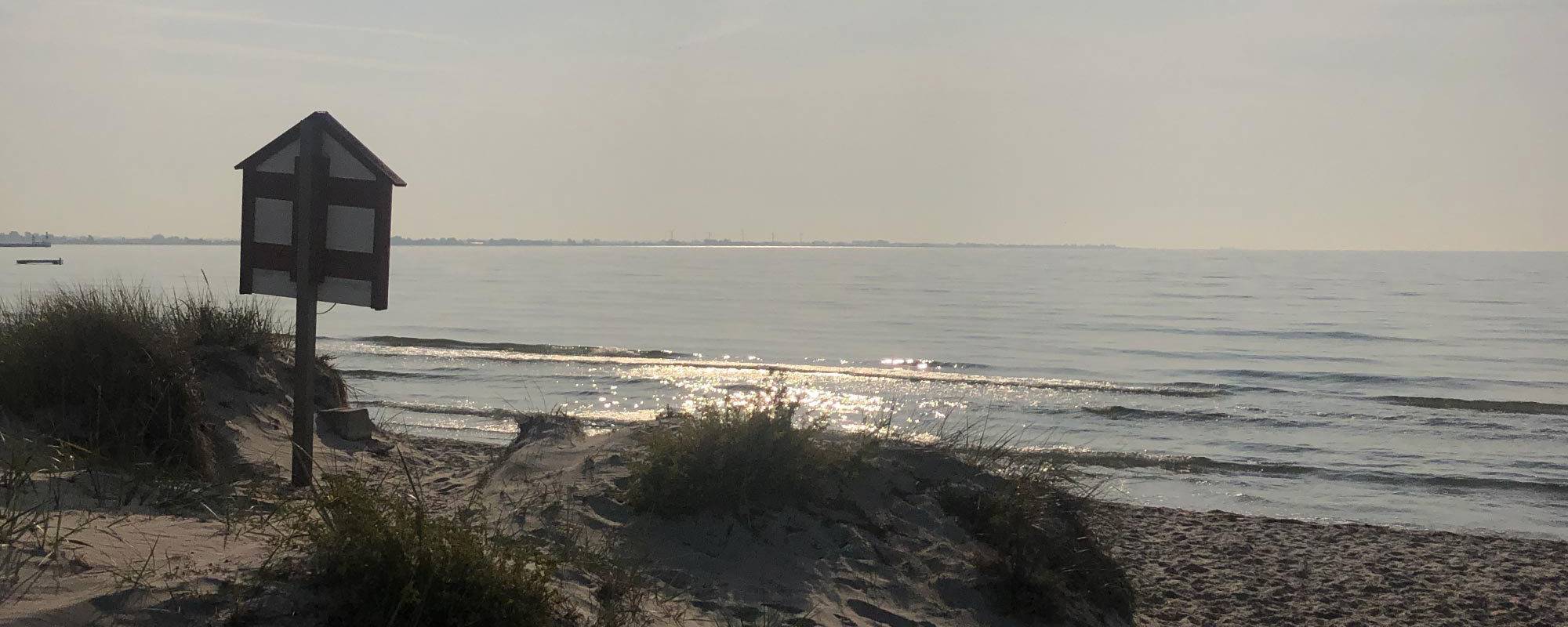 Cropped Ljvf Bakgrund Webb Strand