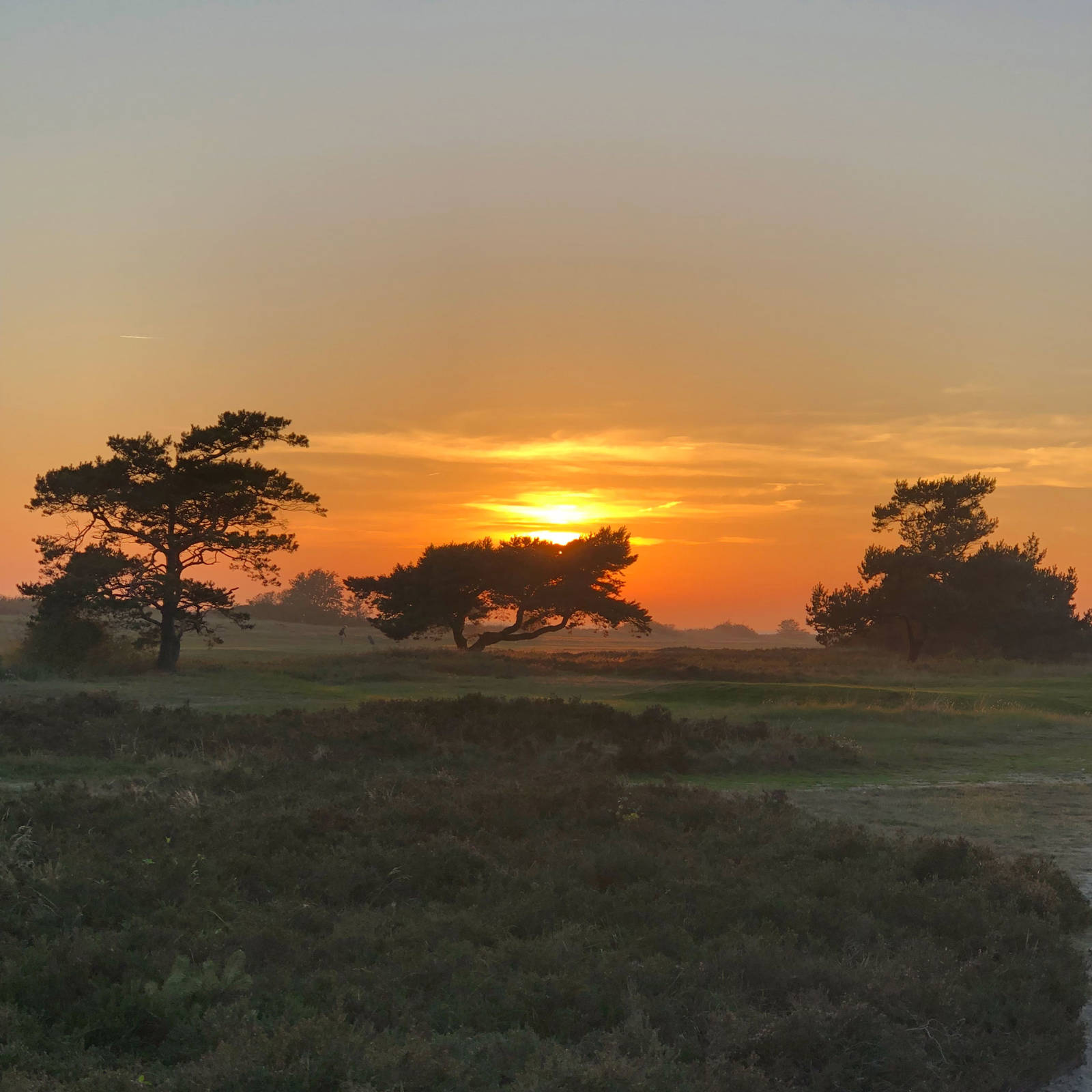 Golfklubb Savann Solnedgacc8ang