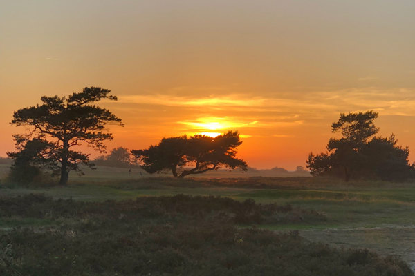 Golfklubb Savann Solnedgacc8ang