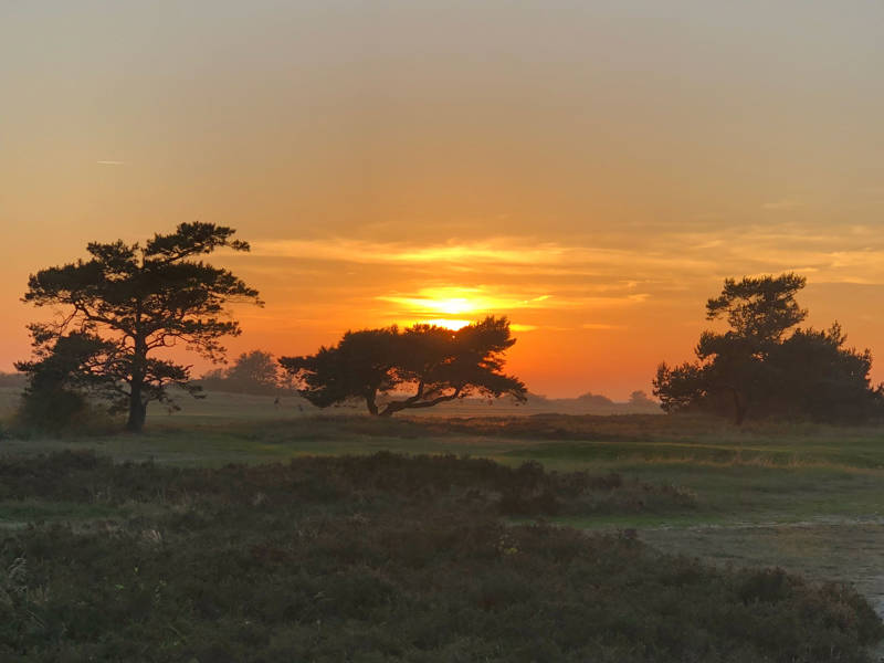 Golfklubb Savann Solnedgacc8ang