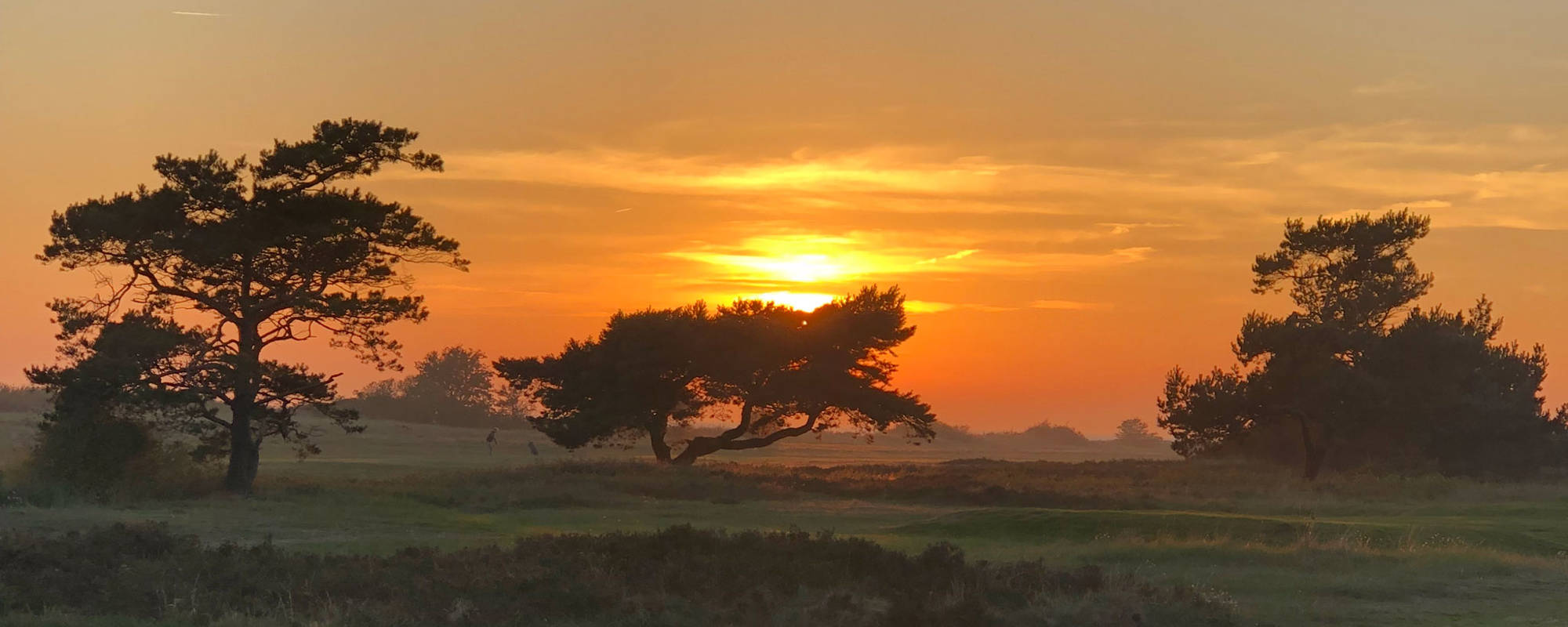Golfklubb Savann Solnedgacc8ang