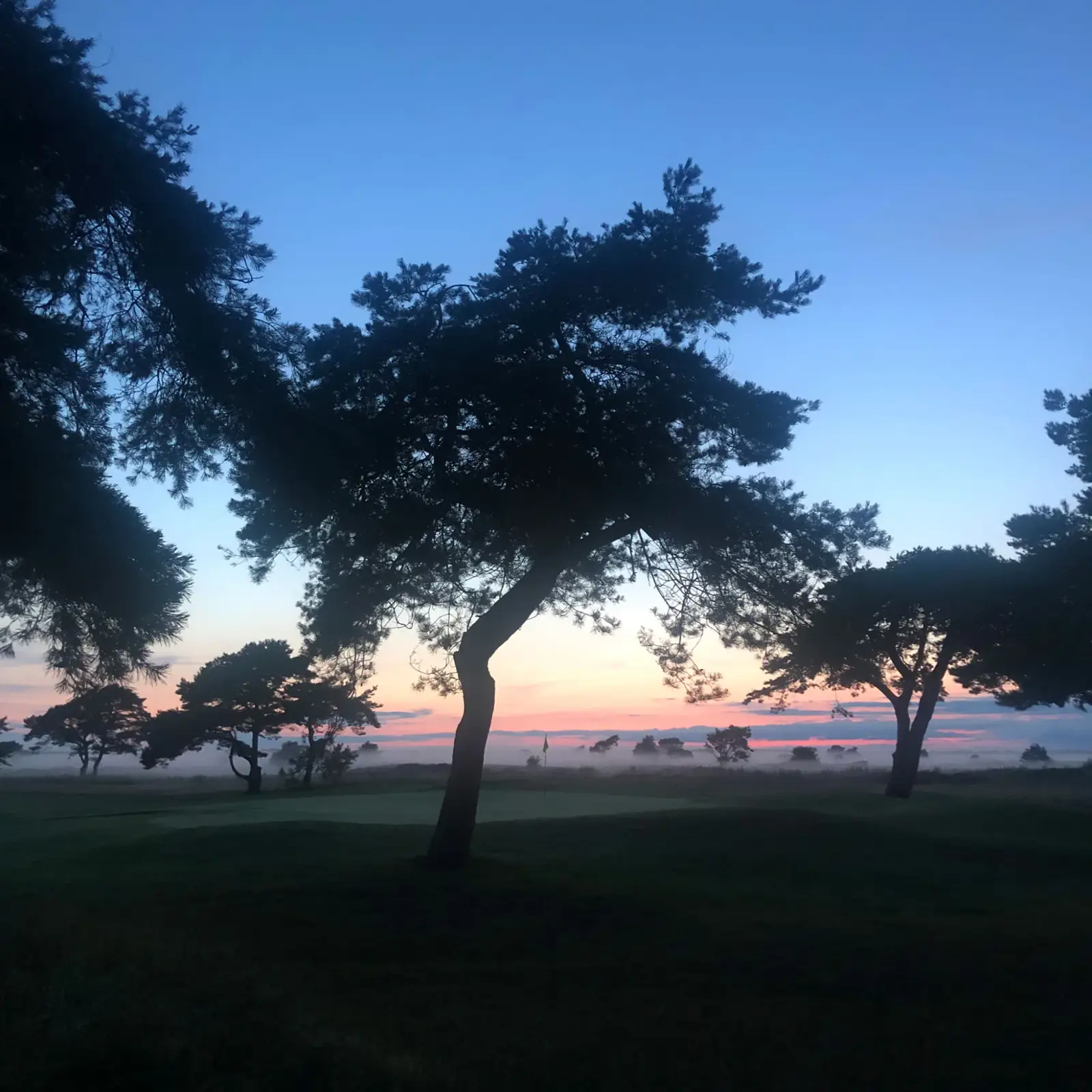 Golfbanan Skymning